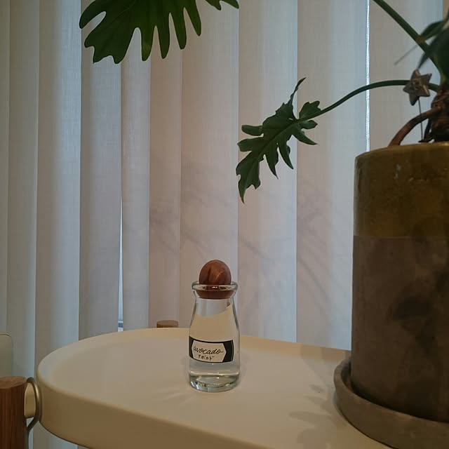 yuinacchiさんの実例写真