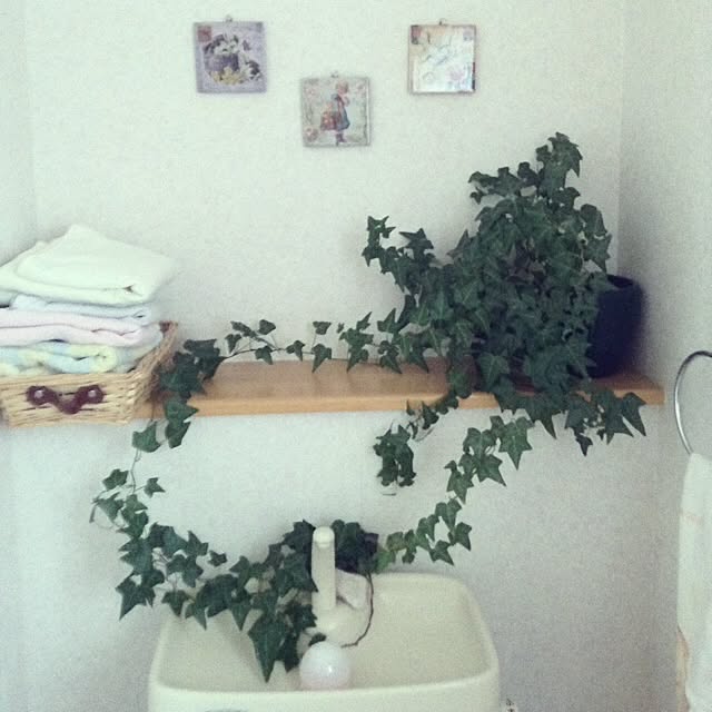 azuyokoさんの実例写真