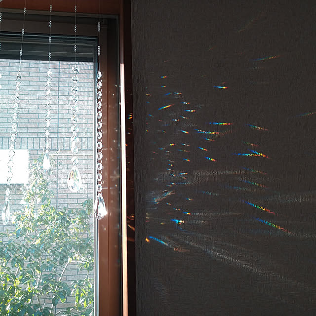 kana_ciiさんの実例写真