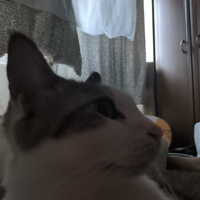 mori_6_12さんの部屋