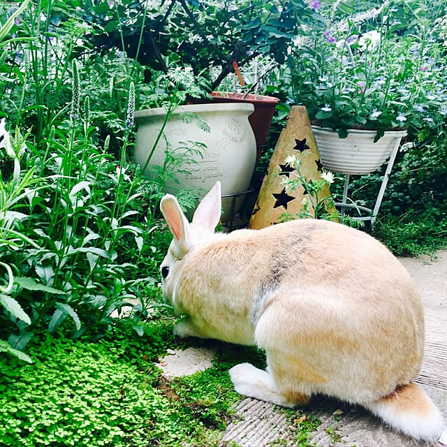 khj1974さんの実例写真