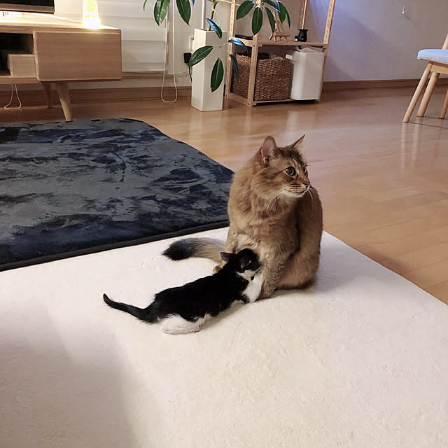 Yumiさんの実例写真
