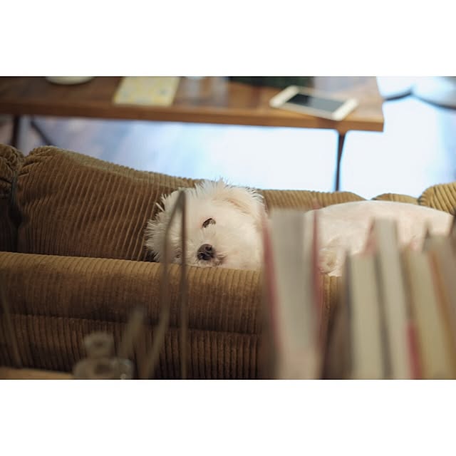 taka55さんの実例写真