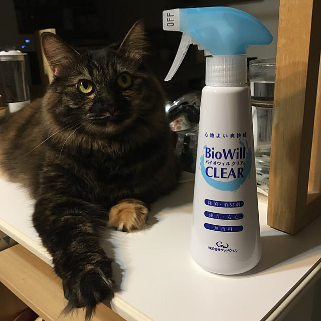 mikomaruさんの実例写真