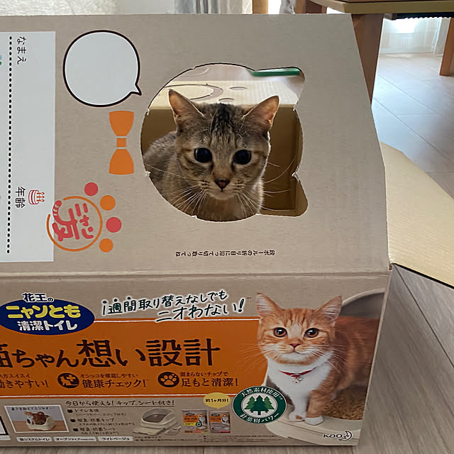 satopiさんの実例写真
