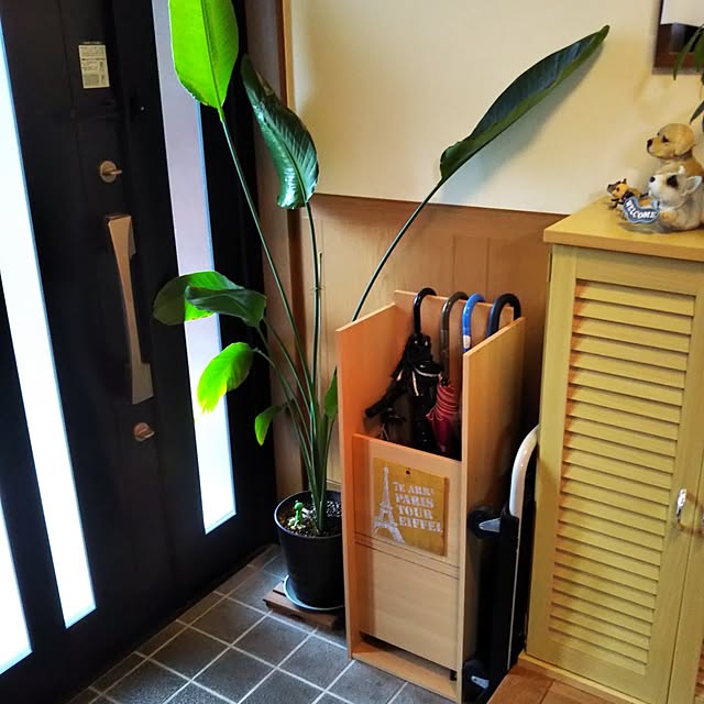 Tirorinさんの実例写真
