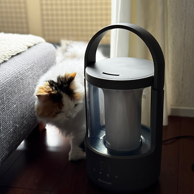 chulashihoさんの部屋