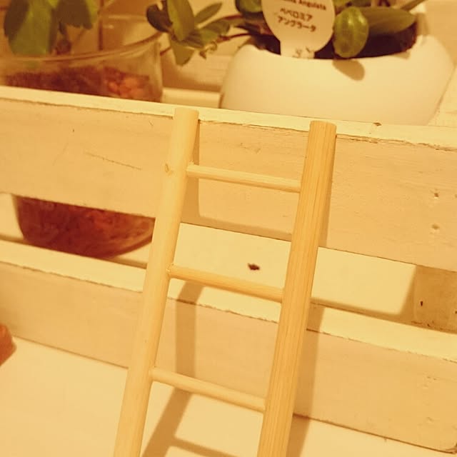 sayuさんの実例写真