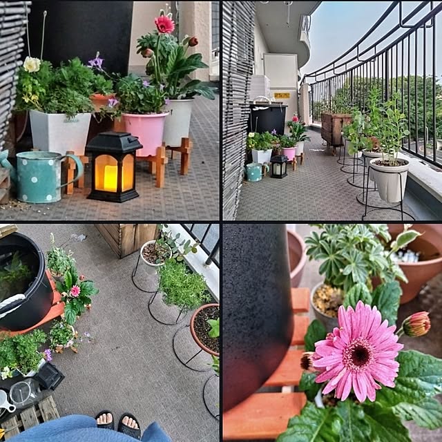 mi-saさんの部屋