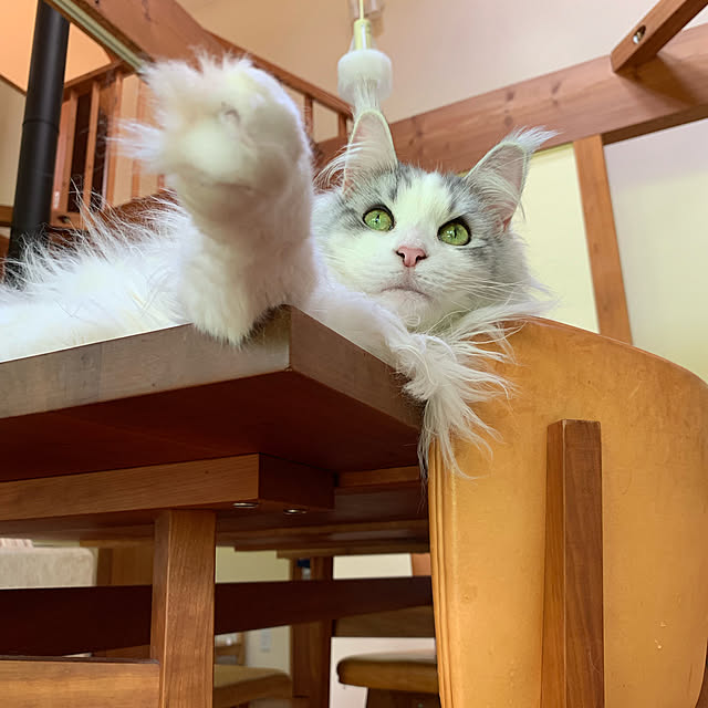 Kikko.さんの実例写真