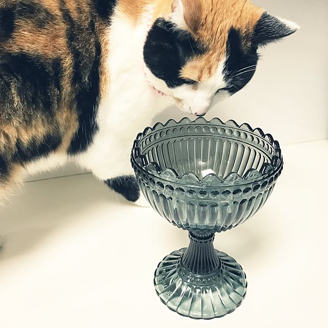mtkさんの実例写真