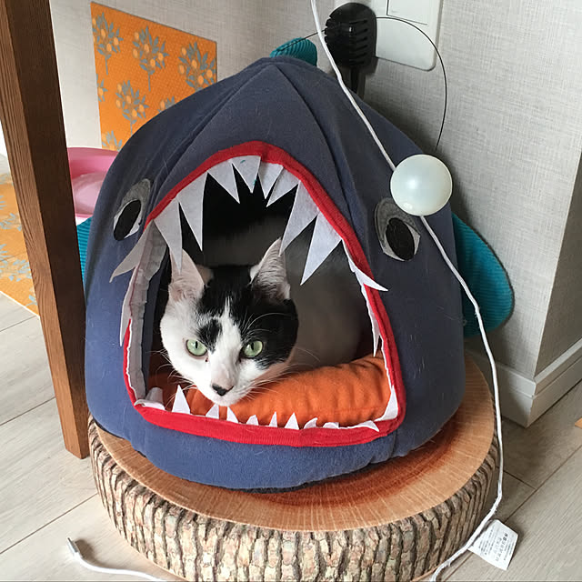 hanaさんの実例写真