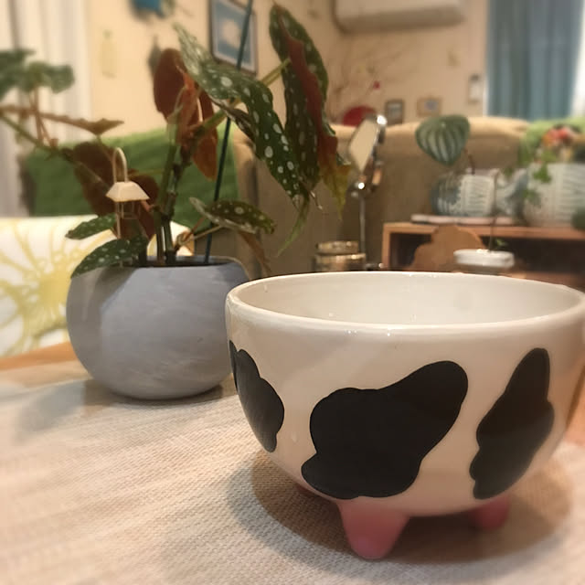 kou-kitiさんの部屋