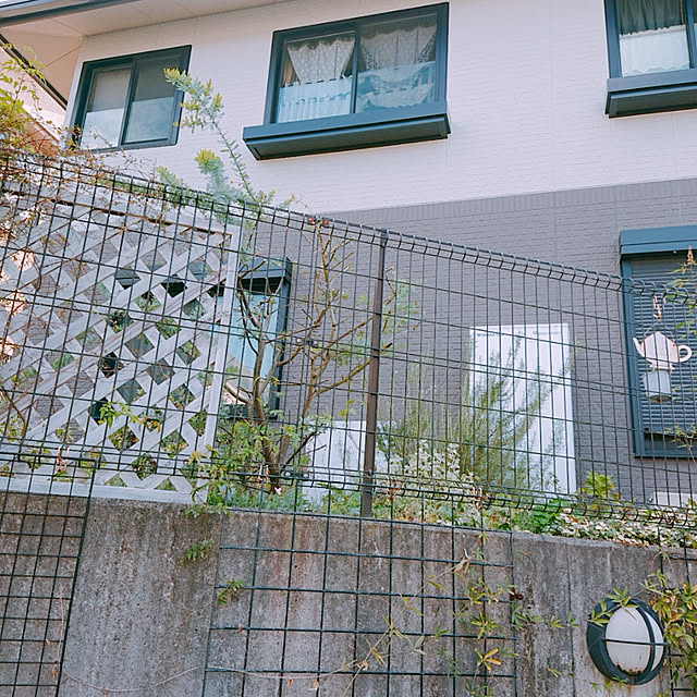 kikiさんの実例写真