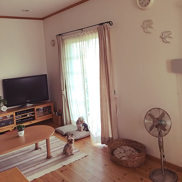 misacoさんの実例写真
