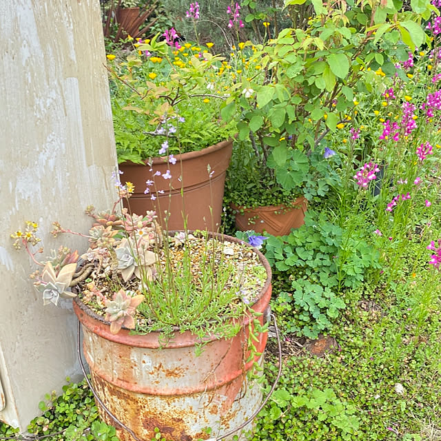 mintteaさんの部屋