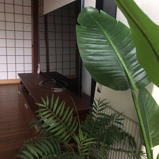 maruさんの実例写真