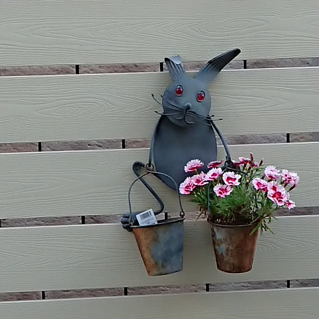 noriさんの実例写真
