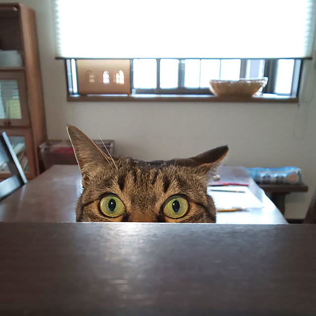 komugiさんの実例写真