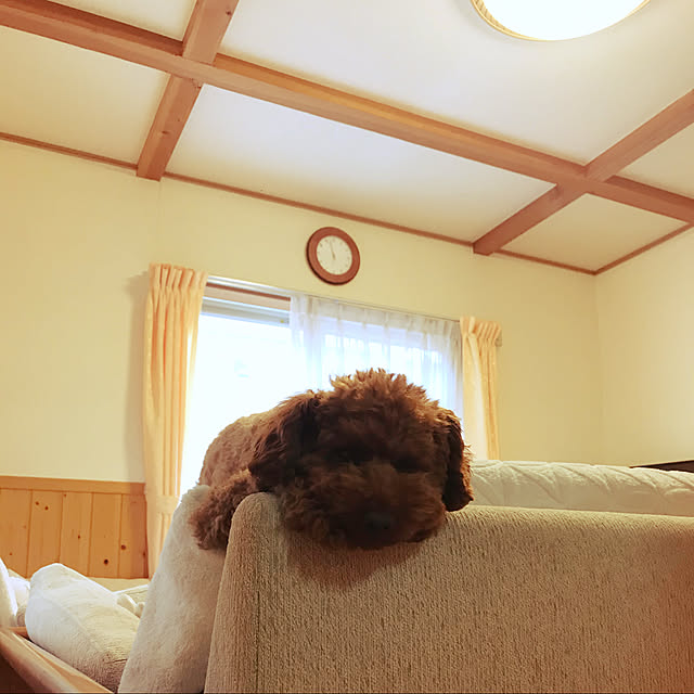 mipoさんの実例写真