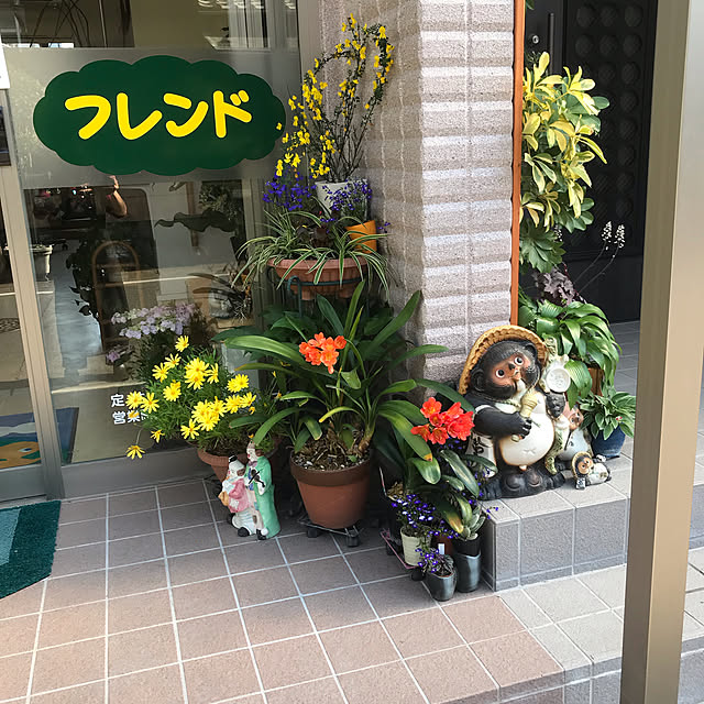 ikuko-pさんの実例写真