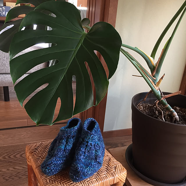 buchiさんの実例写真