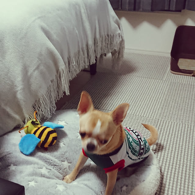 yossyさんの実例写真