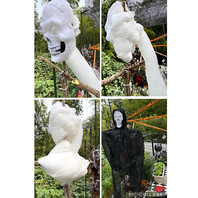 kittyさんの部屋