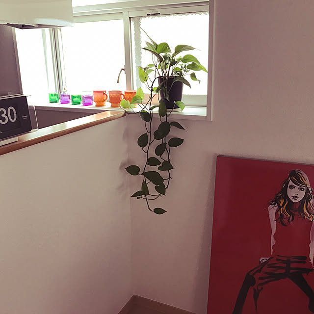 oniku14さんの実例写真