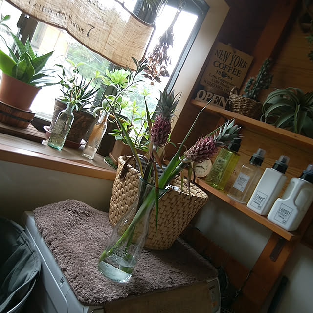 Brown.Lifeさんの実例写真