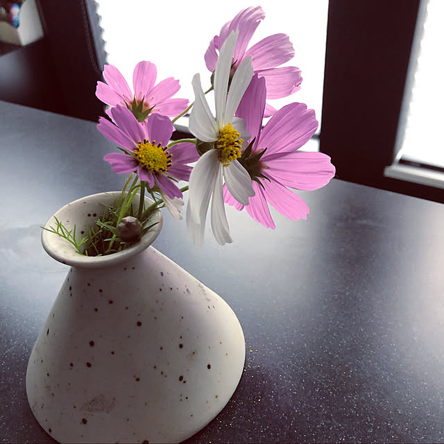 saran0208さんの実例写真