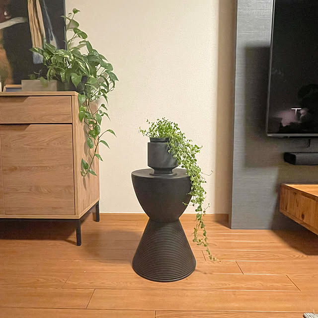 akoさんの実例写真