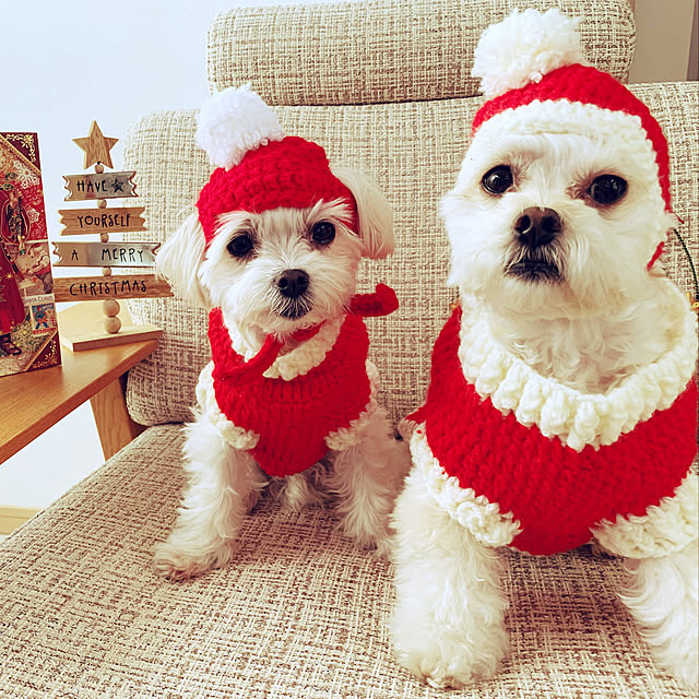 maru-cheeさんの実例写真