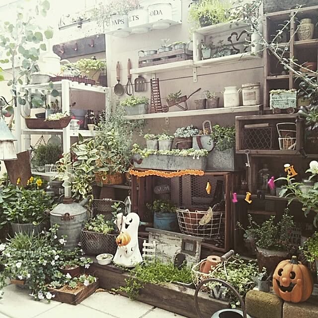 kokkomachaさんの実例写真