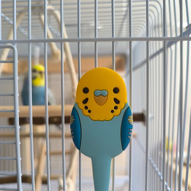 kanaさんの実例写真