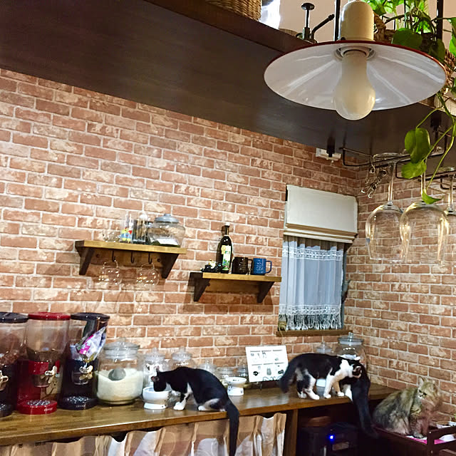 butachanさんの実例写真