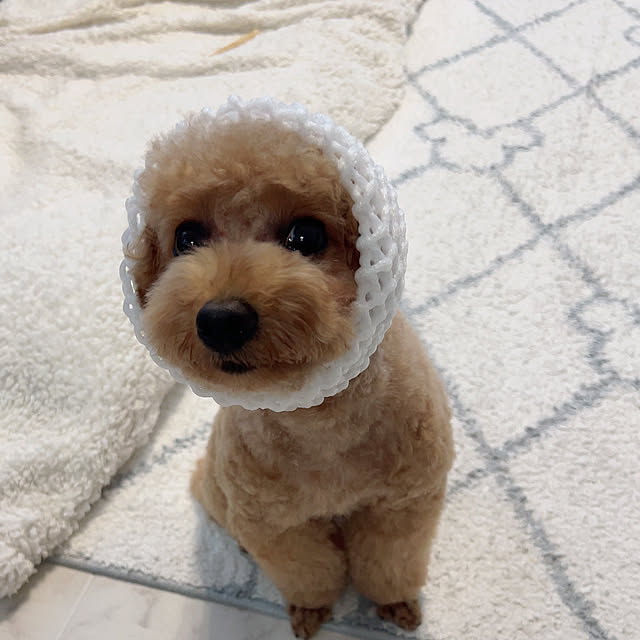 makiさんの実例写真