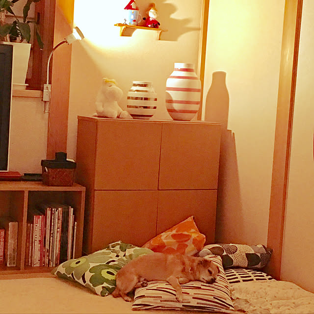 haritakaさんの実例写真