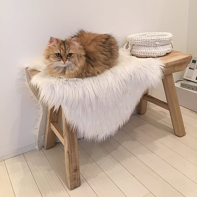 koumeさんの実例写真