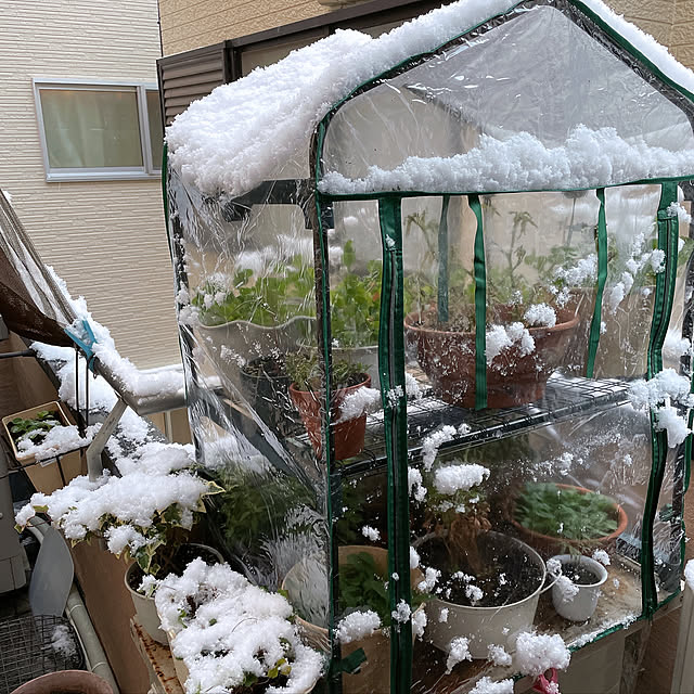 mocoさんの部屋