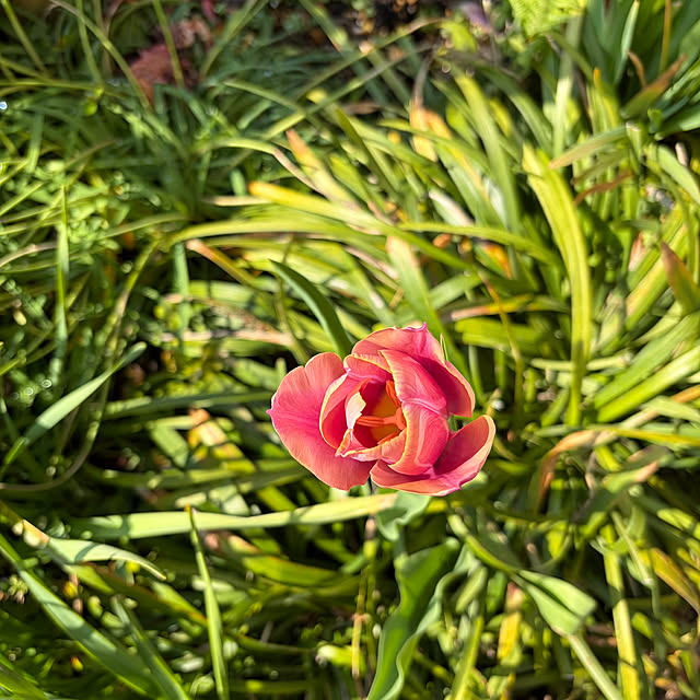 ritsukoさんの部屋