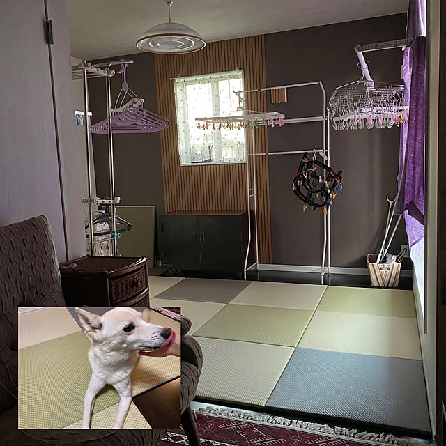 tanboさんの部屋