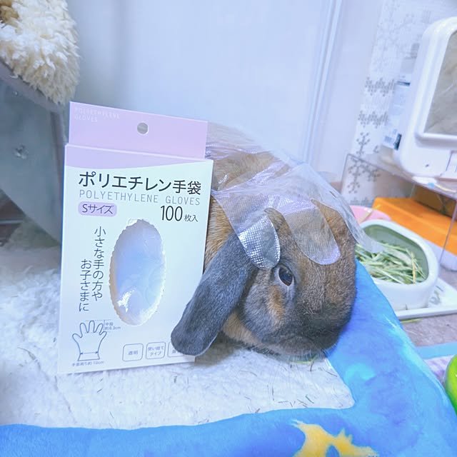 mariaさんの部屋