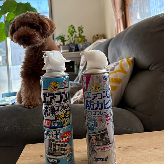 alchoさんの実例写真