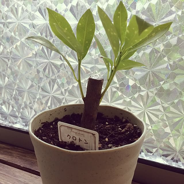 tomoさんの実例写真