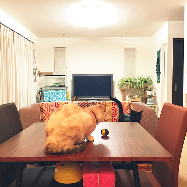 nanaさんの実例写真