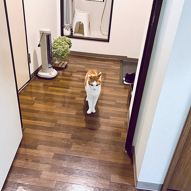 YUKAさんの実例写真