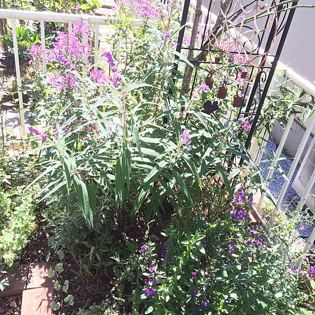 khj1974さんの実例写真