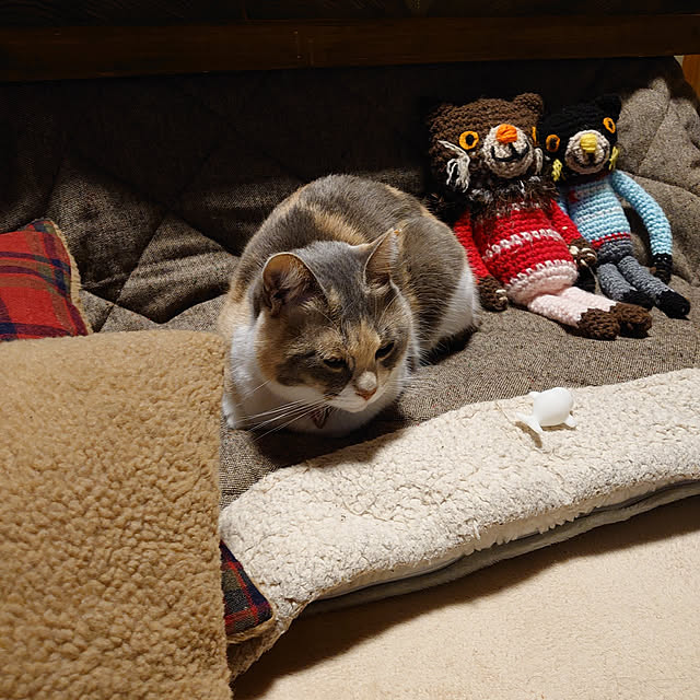 fukuさんの実例写真