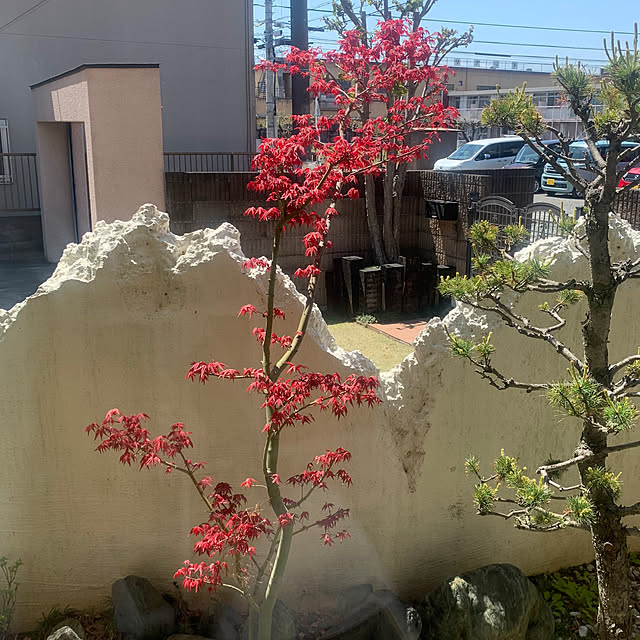 yumi.fさんの部屋